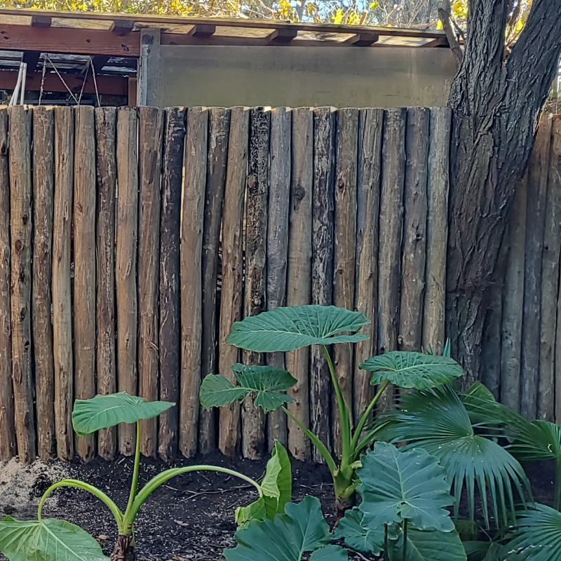 Construcción de Cercos y Empalizadas de Madera Impregnada
